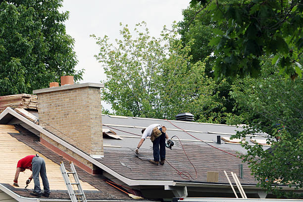 Best Metal Roofing Contractor  in Lakeside, MT