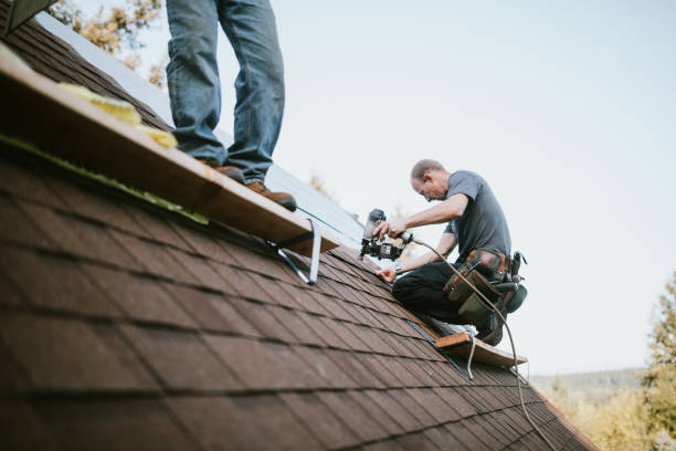 Roof Gutter Cleaning in Lakeside, MT